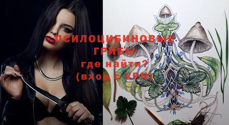 Псилоцибиновые грибы Psilocybine cubensis наркошоп Адыгейск